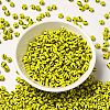 6/0 Opaque Colours Seep Glass Seed Beads X-SEED-F003-04A-05-2