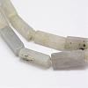 Natural Labradorite Beads Strands G-E342-13-3