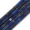 Natural Lapis Lazuli Beads Strands G-B091-A15-01-1