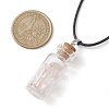 Glass Wish Bottle Pendant Necklace NJEW-JN04609-02-3