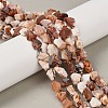 Raw Rough Natural Fire Opal Beads Strands G-C253-02-1