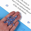 Transparent Acrylic Beads MACR-S373-95-B10-3