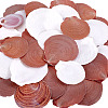 40Pcs Natural Shell for Aquarium Fish Tank Ornaments SHEL-PH0001-68-1