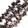 Natural Smoky Quartz Beads Strands G-B072-D01-02-1