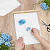 Dried Embossed Paper DIY-WH0622-646D-3