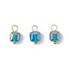 21Pcs Glass Charms PALLOY-JF03218-3