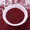 MIYUKI Delica Beads SEED-X0054-DB0602-2