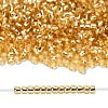 TOHO 8/0 Round Beads SEED-XTR08-0022A-4