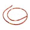 Natural Red Agate Beads Strands G-M389-01-2