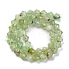 Natural Prehnite Beads Strands G-C171-E03-01-3