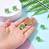 5Pcs Handmade Lampwork Beads LAMP-YW0001-37-5