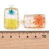 Brass Resin Pendants GL-CBA591C-04G-3