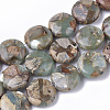 Natural Aqua Terra Jasper Beads Strands G-S366-014-1