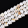 Natural Freshwater Shell Beads Strands SHEL-S276-111A-1