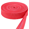 Polyester Ribbon OCOR-WH0008-065B-1