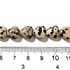 Natural Dalmatian Jasper Beads Strands G-R190-10mm-63-5