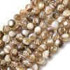 Natural Freshwater Shell Beads Strands X-SHEL-K006-71A-1