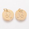 Ion Plating(IP) 304 Stainless Steel Pendants A-STAS-Q201-T445-5G-2