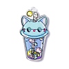 Transparent Printed Acrylic Pendants LS-TACR-G042-01E-1