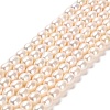 Natural Cultured Freshwater Pearl Beads Strands PEAR-E016-194C-1