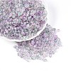 Baking Paint Transparent Glass Beads DGLA-T004-06C-3