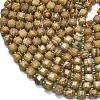 Natural Picture Jasper Beads Strands G-K389-A63-01-3