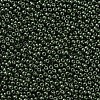 11/0 FGB Grade A Baking Paint Glass Seed Beads X-SEED-N001-A-1040-2