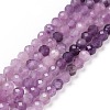 Natural Lepidolite/Purple Mica Stone Beads Strands G-C009-A04-1