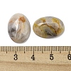 Natural Crazy Agate Cabochons X-G-C115-01A-33-3