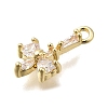 Brass Pave Cubic Zirconia Pendants LS-KK-Q048-26G-2