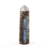 Point Tower Natural Labradorite Home Display Decoration PW-WG04107-17-1