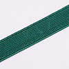 Polyester Resistance Elastic Cord EW-WH0003-03F-2