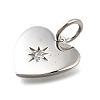 925 Sterling Silver Micro Pave Clear Cubic Zirconia Charms STER-V001-01P-04-2
