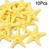 10Pcs Resin Decoden Cabochons CRES-YW0001-42C-1