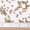 MIYUKI Delica Beads X-SEED-J020-DB1739-4