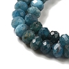 Natural Apatite Beads Strands G-B074-A02-02-4