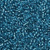 12/0 Glass Seed Beads SEED-A005-2mm-23B-2