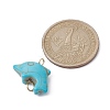 Synthetic Turquoise Connector Charms PALLOY-JF02372-02-2