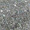 AB Color Plated Glass Seed Beads SEED-L011-06B-14-3