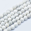 Natural Howlite Beads Strands G-P353-01-8mm-1