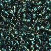 TOHO 6/0 Round Beads SEED-TR06-0270-4