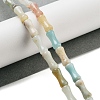 Natural Flower Amazonite Beads Strands G-Q178-A06-01-2