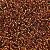 12/0 Glass Seed Beads SEED-A005-2mm-22C-3
