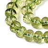 Crackle Transparent Glass Beads Strands GLAA-N074-02B-01-4