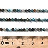 Natural Apatite Beads Strands LS-G-RM2025-36-3mm-5