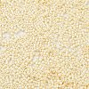 Baking Paint Glass Seed Beads X-SEED-S042-15B-25-3