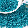MIYUKI Round Rocailles Beads SEED-JP0009-RR4483-1