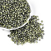 Transparent Inside Colours Glass Seed Beads SEED-T007-19A-05-3