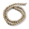 Natural Rainbow Alashan Agate Beads Strands G-NH0022-A02-01-3