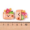 Supermarket Theme Opaque Resin Decoden Cabochons LS-RESI-N039-115C-3